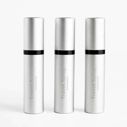 Travel Spray Silver